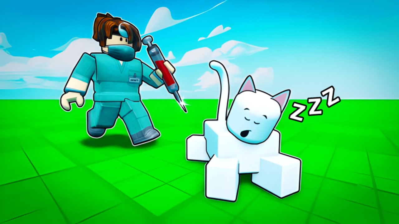 Liste des scripts The CAT